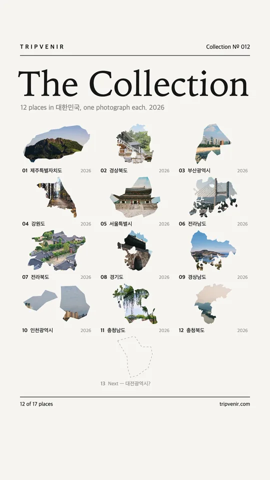 수집 도감